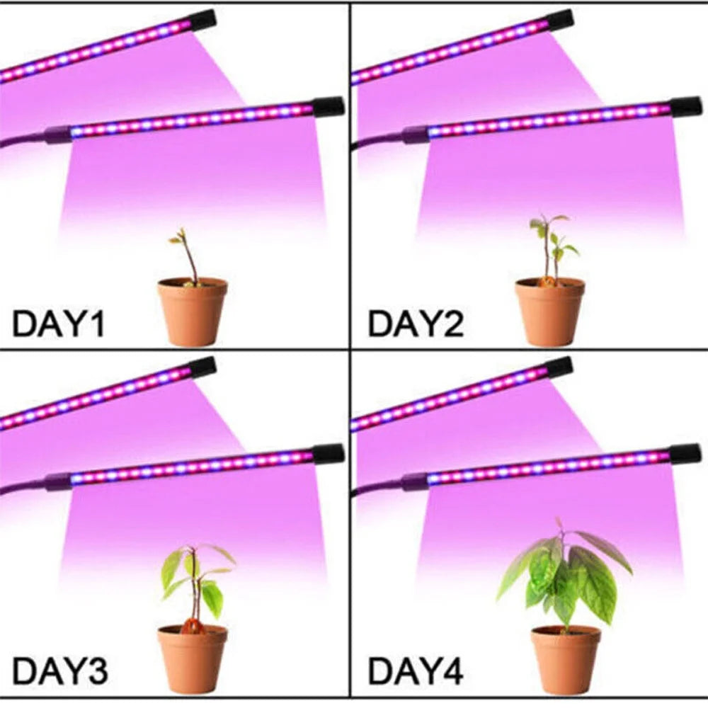 LED Grow Light Plant Growing Lamp Full Spectrum for Indoor Plants Hydroponics US