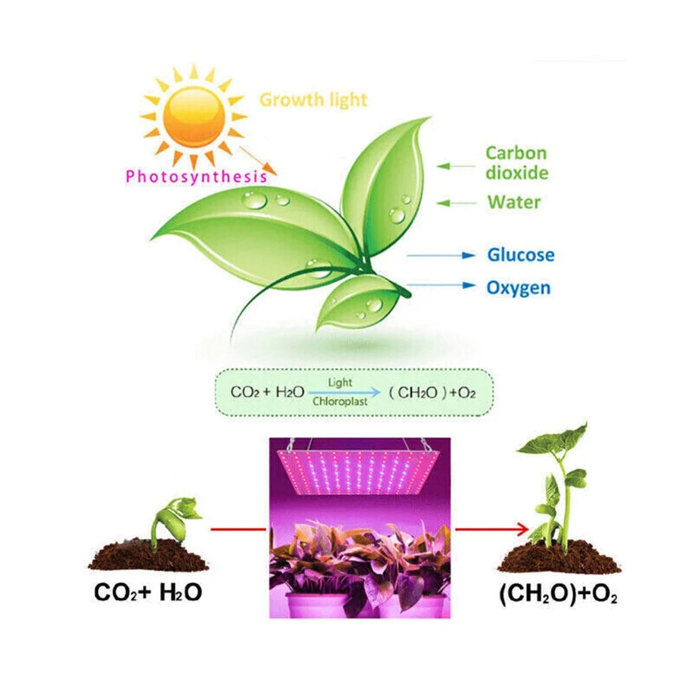 LED Grow Light Plant Growing Lamp Full Spectrum for Indoor Plants Hydroponics US